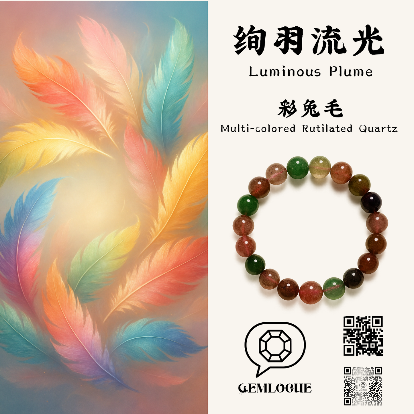 绚羽流光|Luminous Plume