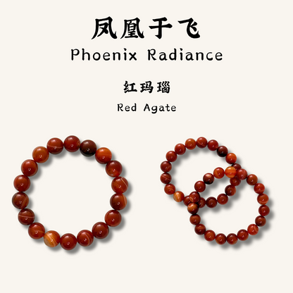 凤凰于飞｜Phoenix Radiance
